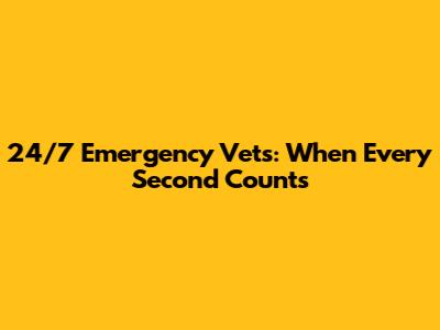 24/7 Emergency Vets: When Every Second Counts