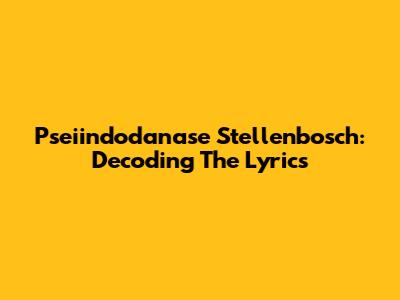 Pseiindodanase Stellenbosch: Decoding The Lyrics